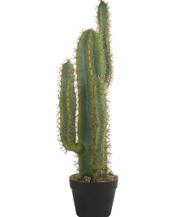 Discount Beliani Pianta artificiale CACTUS 78 cm Verde Verde Nero
