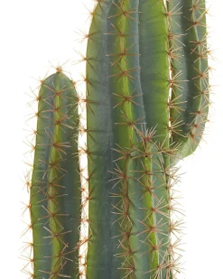 Discount Beliani Pianta artificiale CACTUS 78 cm Verde Verde Nero