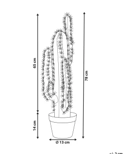 Discount Beliani Pianta artificiale CACTUS 78 cm Verde Verde Nero