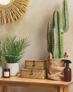 Discount Beliani Pianta artificiale CACTUS 78 cm Verde Verde Nero