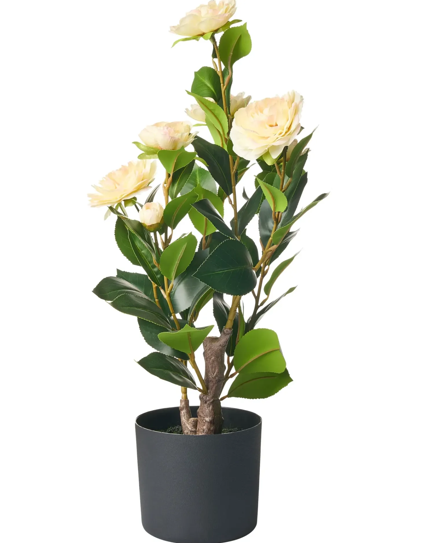 Best Beliani Pianta artificiale CAMELLIA 60 cm Verde Beige Verde Nero