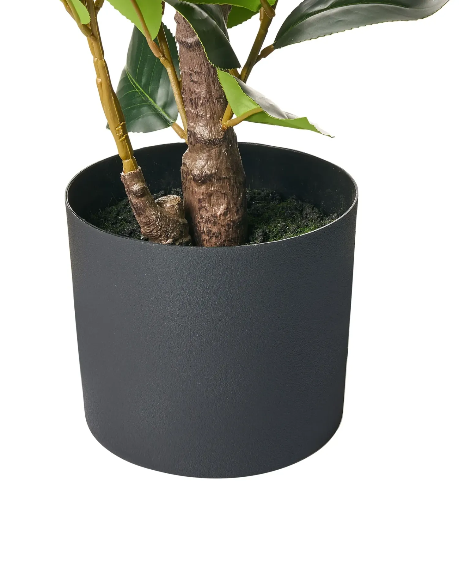 Best Beliani Pianta artificiale CAMELLIA 60 cm Verde Beige Verde Nero