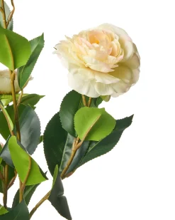 Best Beliani Pianta artificiale CAMELLIA 60 cm Verde Beige Verde Nero