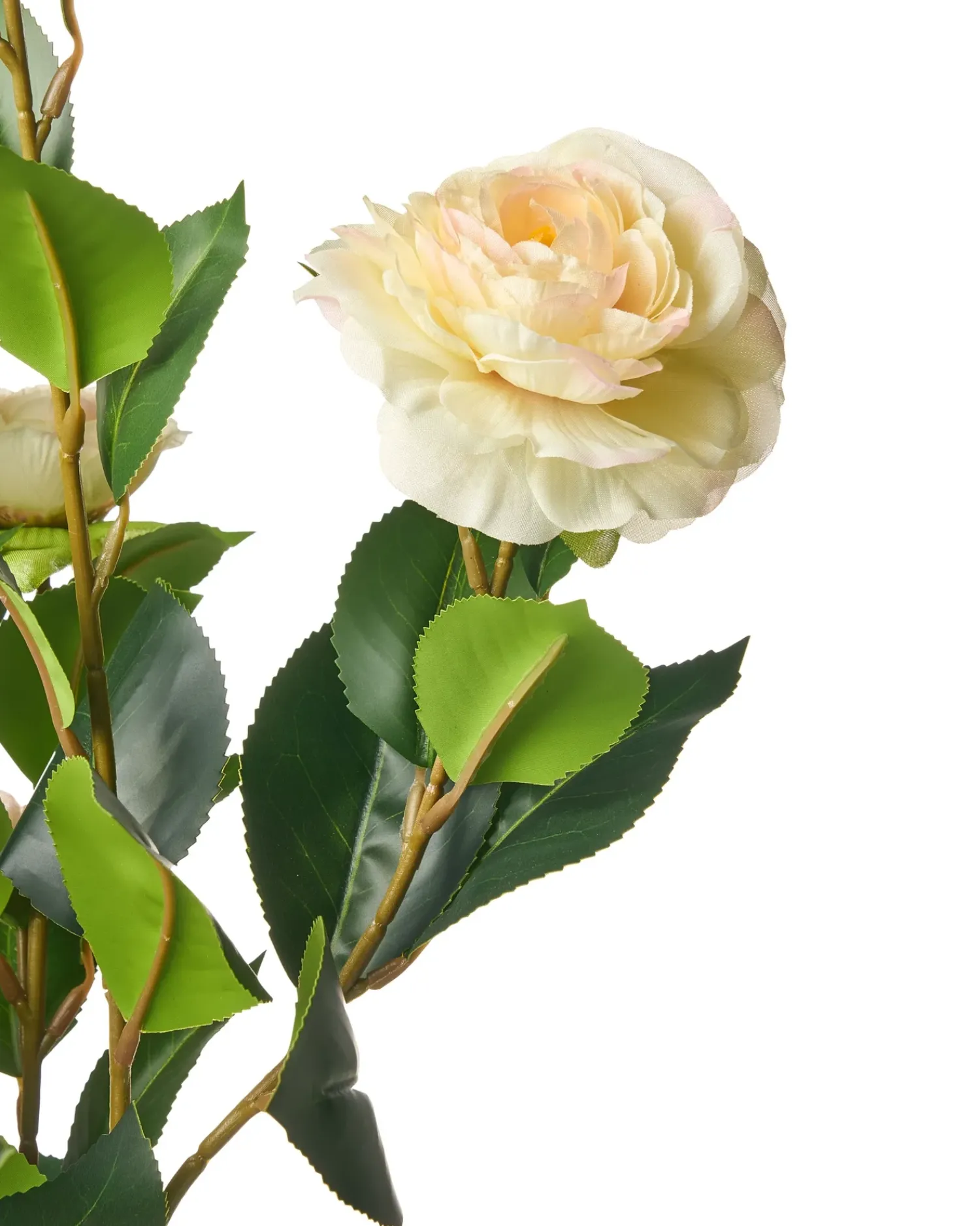 Best Beliani Pianta artificiale CAMELLIA 60 cm Verde Beige Verde Nero
