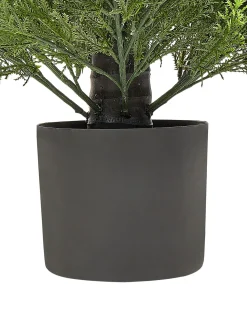 Online Beliani Pianta artificiale CEDAR TREE Verde Marrone Verde Nero
