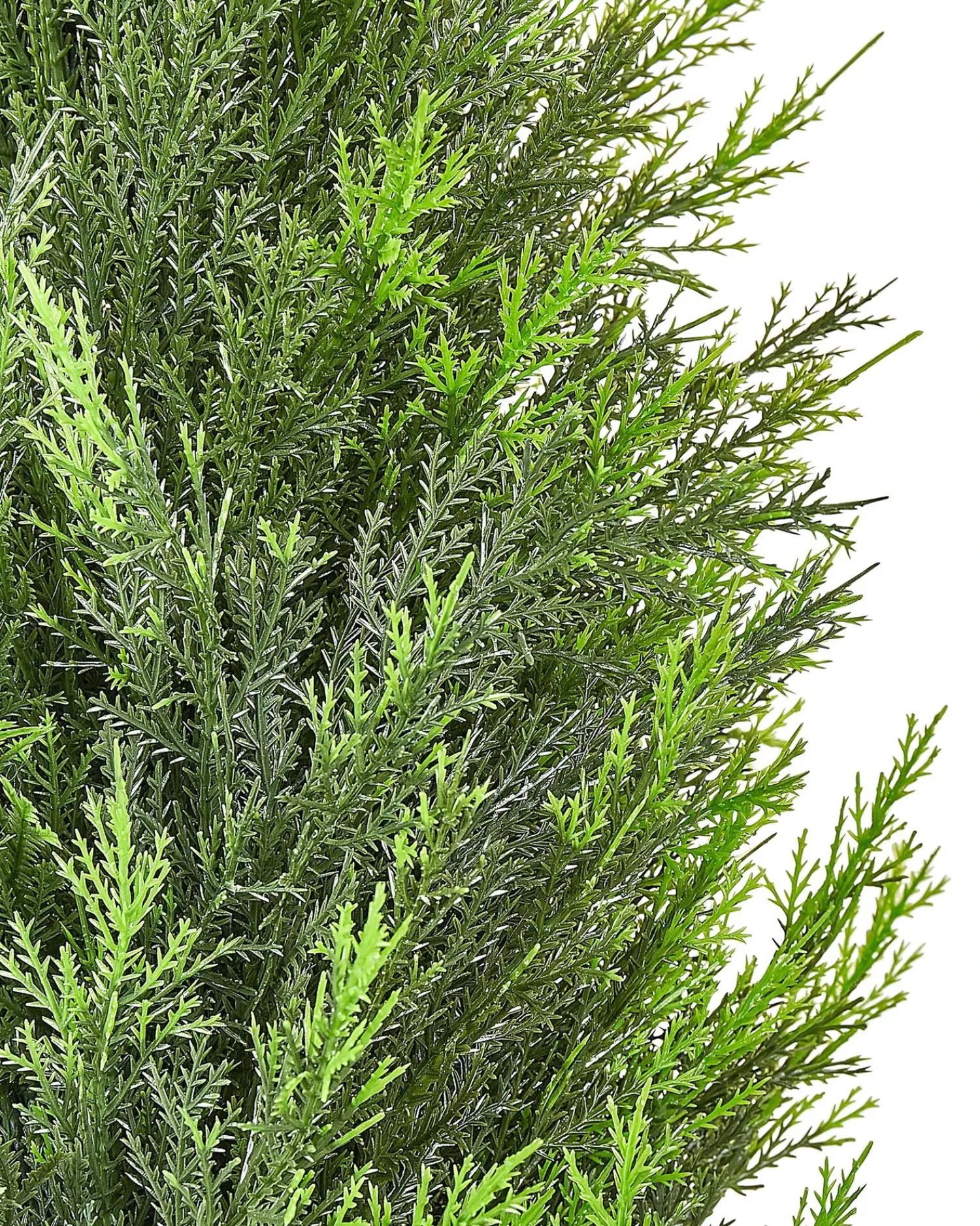 Sale Beliani Pianta artificiale CEDAR TREE Verde Marrone Verde Nero