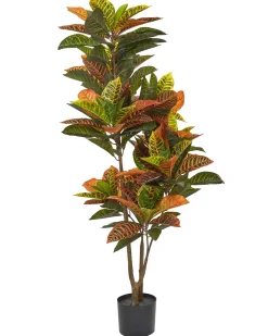 Hot Beliani Pianta artificiale CODIAEUM 140 cm Verde Marrone Verde Nero