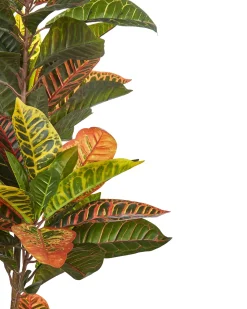Hot Beliani Pianta artificiale CODIAEUM 140 cm Verde Marrone Verde Nero