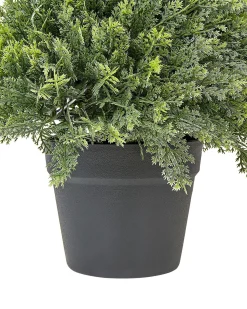Outlet Beliani Pianta artificiale CYPRESS SPIRAL TREE 126 cm Verde Nero Verde