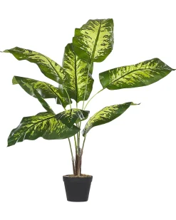 Discount Beliani Pianta artificiale DIEFFENBACHIA Verde Verde Nero