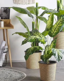 Discount Beliani Pianta artificiale DIEFFENBACHIA Verde Verde Nero