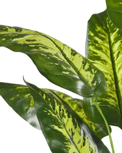 Discount Beliani Pianta artificiale DIEFFENBACHIA Verde Verde Nero