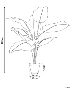 Discount Beliani Pianta artificiale DIEFFENBACHIA Verde Verde Nero