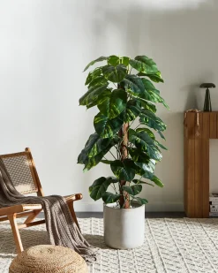 Sale Beliani Pianta artificiale DIEFFENBACHIA Verde Verde Nero