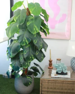 Sale Beliani Pianta artificiale DIEFFENBACHIA Verde Verde Nero