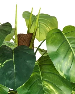 Sale Beliani Pianta artificiale DIEFFENBACHIA Verde Verde Nero