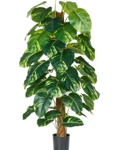 Sale Beliani Pianta artificiale DIEFFENBACHIA Verde Verde Nero