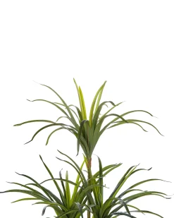 Clearance Beliani Pianta artificiale DRACAENA ANITA Verde Nero Verde