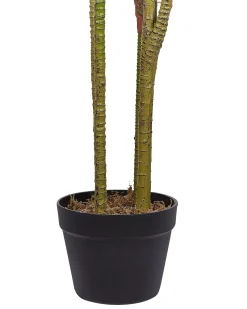 Clearance Beliani Pianta artificiale DRACAENA ANITA Verde Nero Verde