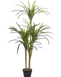Clearance Beliani Pianta artificiale DRACAENA ANITA Verde Nero Verde