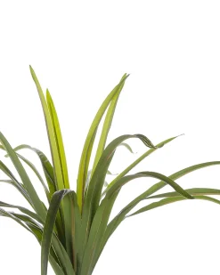 Clearance Beliani Pianta artificiale DRACAENA ANITA Verde Nero Verde