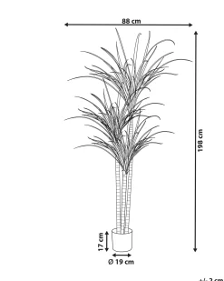 New Beliani Pianta artificiale DRACAENA ANITA Verde Nero Verde