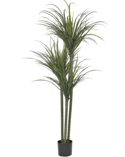 New Beliani Pianta artificiale DRACAENA ANITA Verde Nero Verde