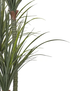 New Beliani Pianta artificiale DRACAENA ANITA Verde Nero Verde
