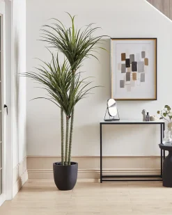 New Beliani Pianta artificiale DRACAENA ANITA Verde Nero Verde