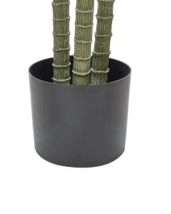 New Beliani Pianta artificiale DRACAENA ANITA Verde Nero Verde