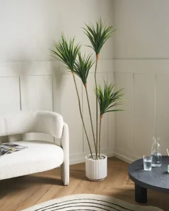 Hot Beliani Pianta artificiale DRACAENA DRACO 165 cm Verde Marrone Verde