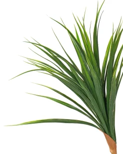 Hot Beliani Pianta artificiale DRACAENA DRACO 165 cm Verde Marrone Verde