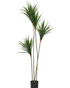 Hot Beliani Pianta artificiale DRACAENA DRACO 165 cm Verde Marrone Verde