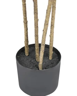 Hot Beliani Pianta artificiale DRACAENA DRACO 165 cm Verde Marrone Verde