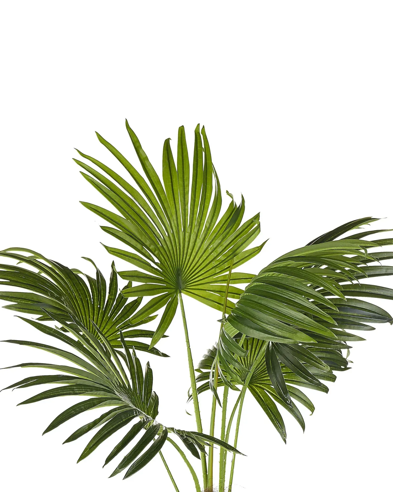 Online Beliani Pianta artificiale FAN PALM 100 cm Verde Verde Nero