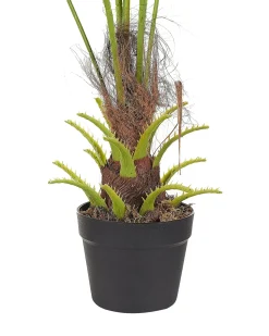 Online Beliani Pianta artificiale FAN PALM 100 cm Verde Verde Nero