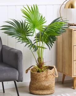 Online Beliani Pianta artificiale FAN PALM 100 cm Verde Verde Nero