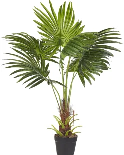 Online Beliani Pianta artificiale FAN PALM 100 cm Verde Verde Nero