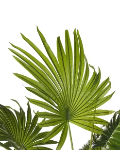Online Beliani Pianta artificiale FAN PALM 100 cm Verde Verde Nero