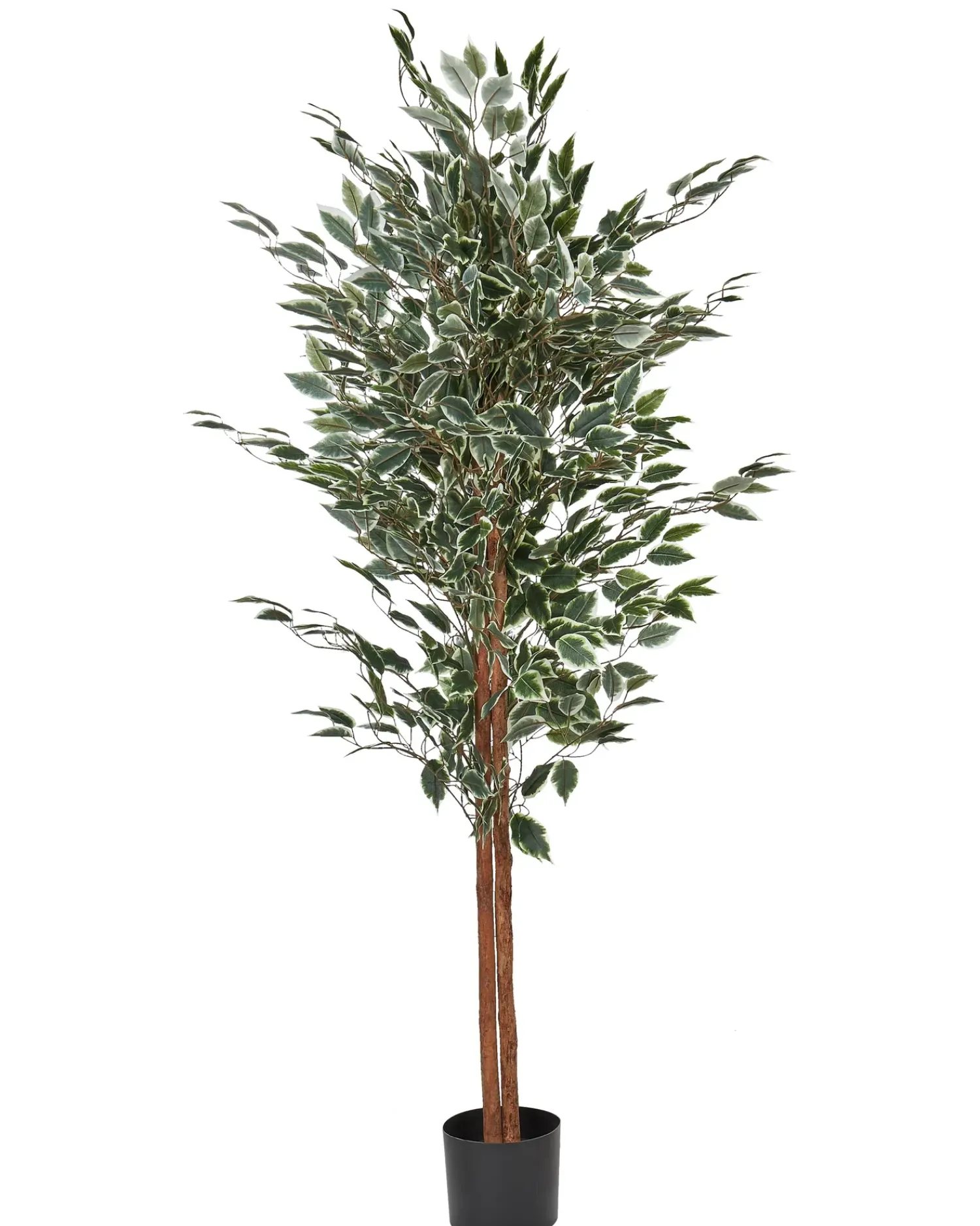 Hot Beliani Pianta artificiale FICUS 167 cm Verde Nero Verde