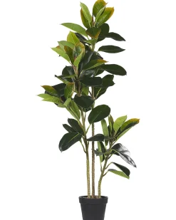 Online Beliani Pianta artificiale FICUS ELASTICA Verde Verde Nero