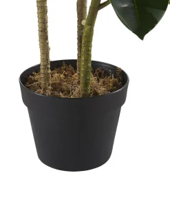 Online Beliani Pianta artificiale FICUS ELASTICA Verde Verde Nero