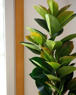 Online Beliani Pianta artificiale FICUS ELASTICA Verde Verde Nero