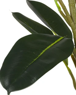 Online Beliani Pianta artificiale FICUS ELASTICA Verde Verde Nero