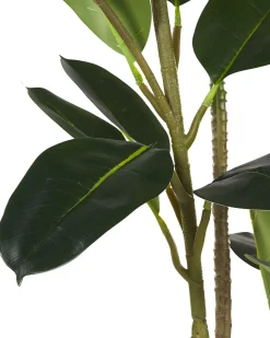 Online Beliani Pianta artificiale FICUS ELASTICA Verde Verde Nero