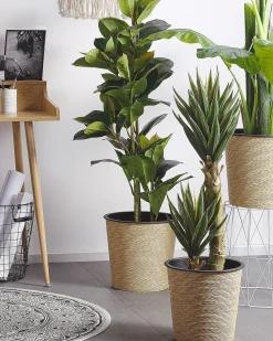 Online Beliani Pianta artificiale FICUS ELASTICA Verde Verde Nero