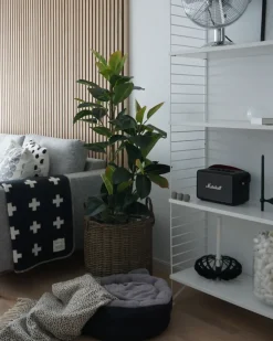 Online Beliani Pianta artificiale FICUS ELASTICA Verde Verde Nero