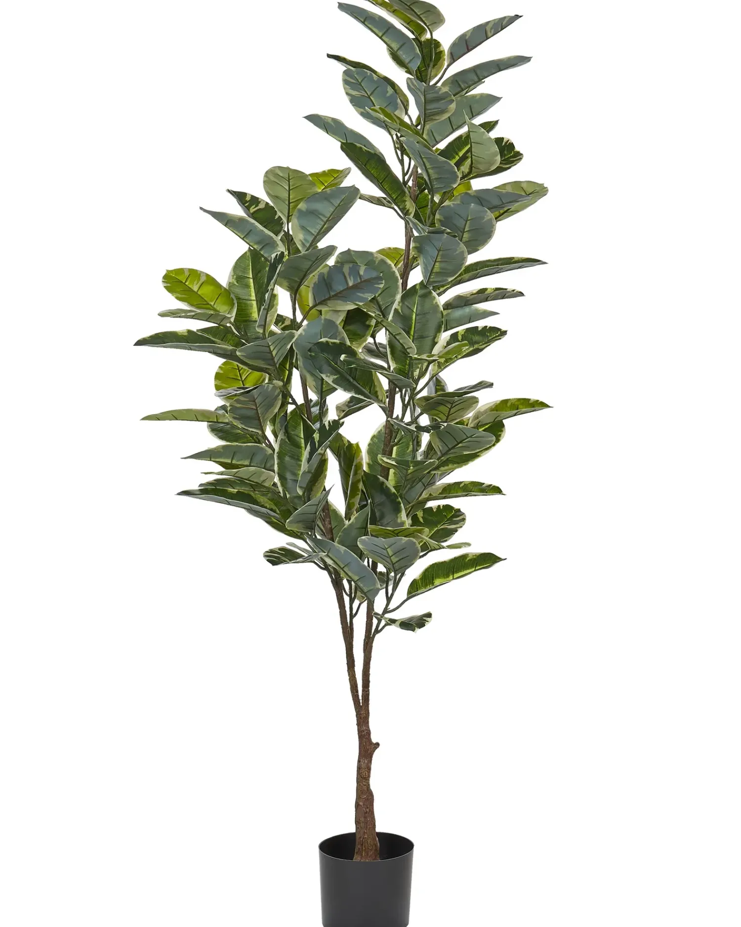 New Beliani Pianta artificiale FICUS ELASTICA Verde Nero Verde