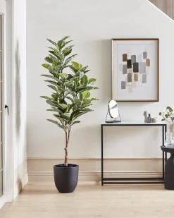 New Beliani Pianta artificiale FICUS ELASTICA Verde Nero Verde