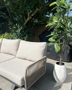 New Beliani Pianta artificiale FICUS ELASTICA Verde Nero Verde